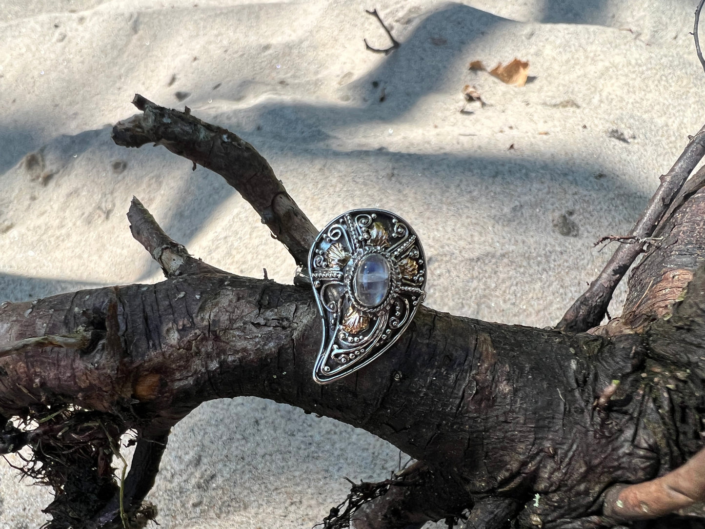 Mollusca Moonstone Ring